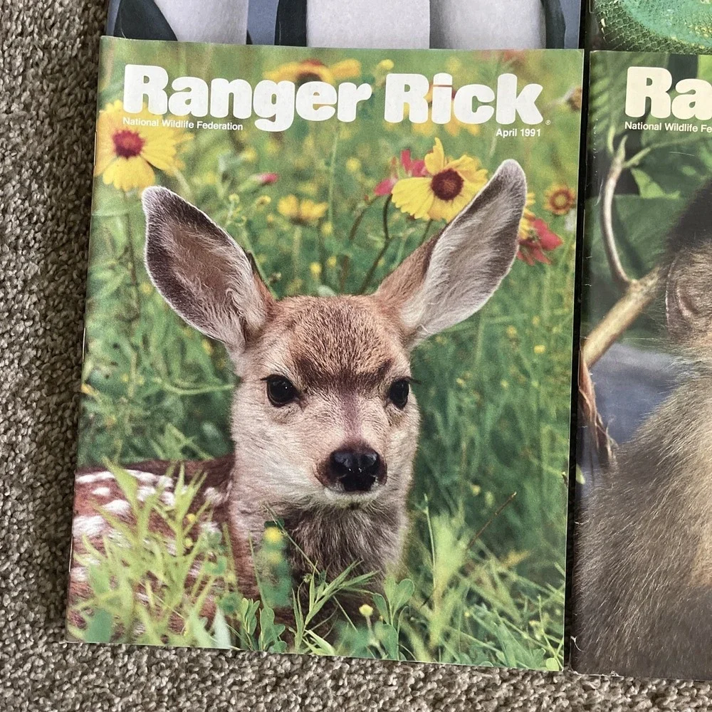 Ranger Rick's Nature Magazine 1991 National Wildlife Kids Vtg Lot Of 12 Complete